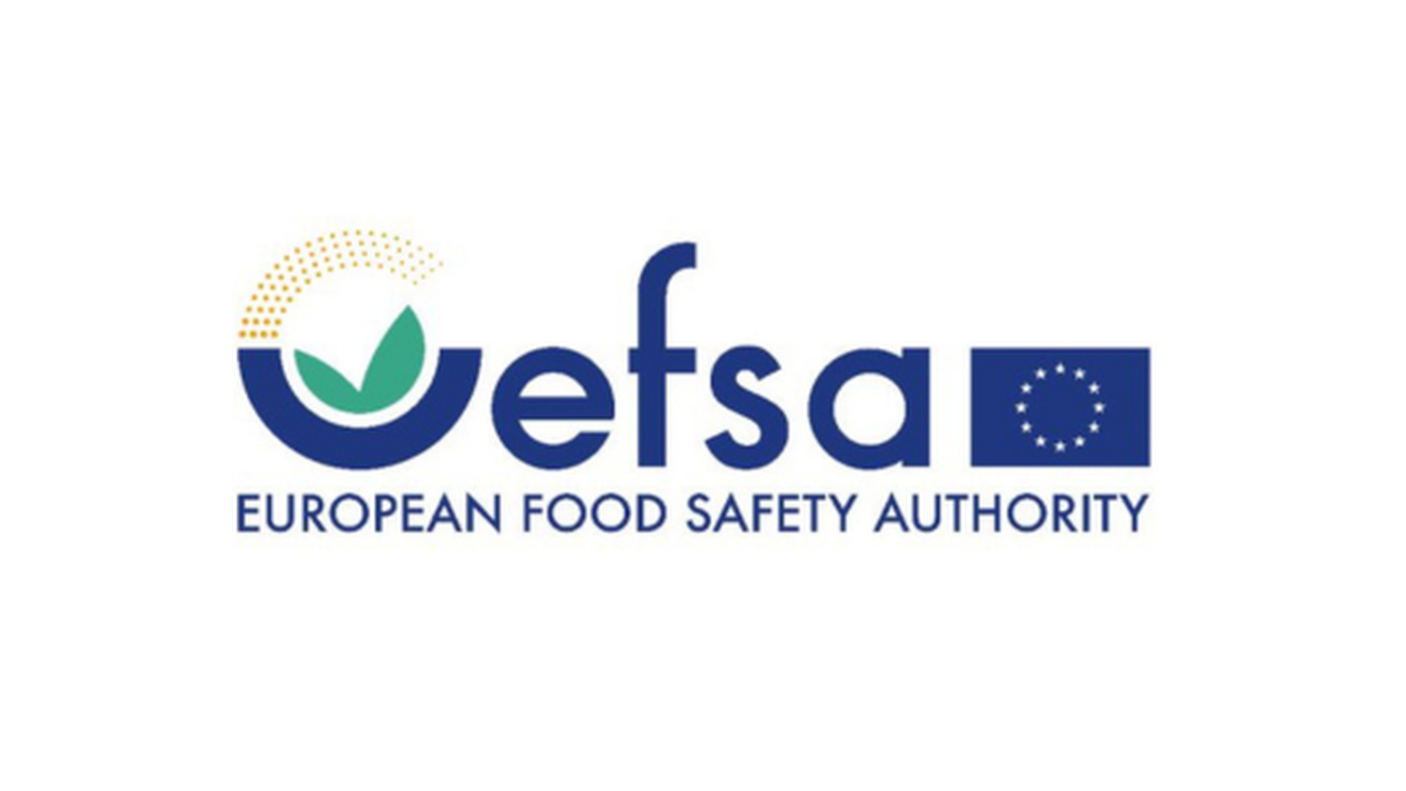 EFSA GMO Panel comment on New Genomic Techniques