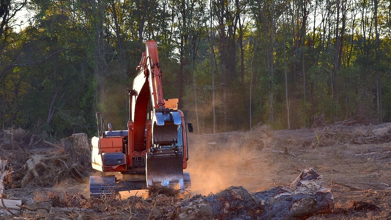 EU Deforestation Regulation proposal for delay