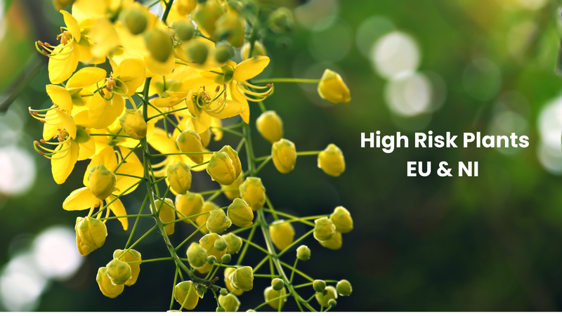 High Risk Plant dossiers for exports to the EU and Northern Ireland - DEFRA Update