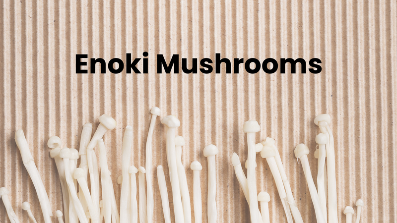 Enoki Mushroom Food Safety Round Up Articles