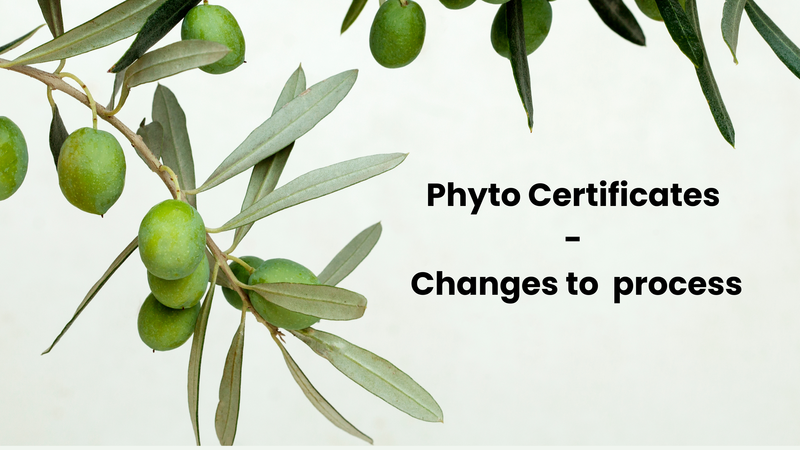 Re-issuing and re-forwarding phytosanitary certificates - Change to process